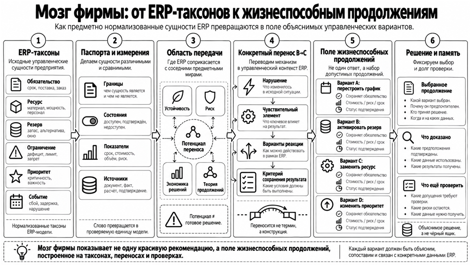 Рис. 7. «Мозг фирмы»: от ERP-таксонов к полю жизнеспособных продолжений.
